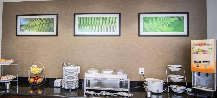 诺顿安眠套房酒店(Sleep Inn & Suites Norton)图片