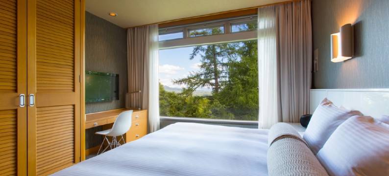 绿叶新雪谷精选酒店 希尔顿逸林酒店精选(The Green Leaf Niseko Village, Tapestry Collection by Hilton)图片