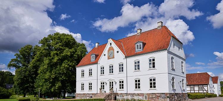 哈拉德斯卡辛那图尔酒店及会议中心(Haraldskær Sinatur Hotel & Konference)图片