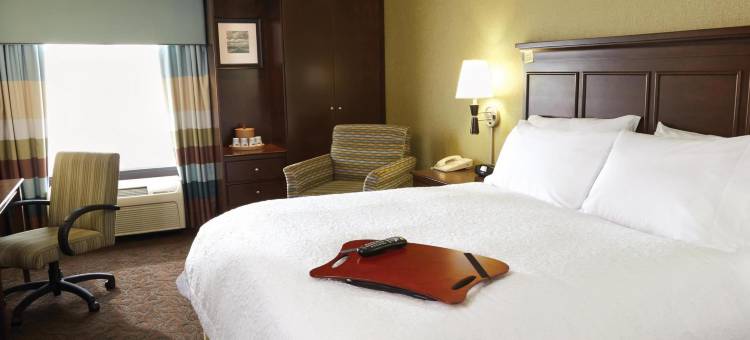 圣安东尼奥布鲁克斯城市基地希尔顿欢朋套房酒店(Hampton Inn & Suites San Antonio Brooks City Base Area)图片