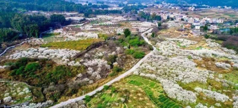 从化温泉明月山溪豪华别墅随地游(三塘街分店)图片