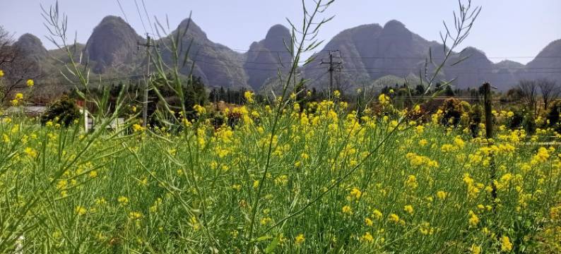 祝大家旅游快乐度假别墅(京珠线分店)图片