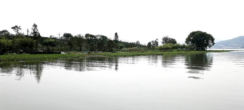 宁波素境民宿图片