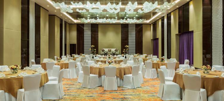 阿吉曼丽笙酒店(Radisson Blu Hotel Ajman)图片