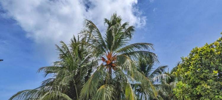 图鲁斯杜多阿迪度假酒店(Dhoadhi Retreat Thulusdhoo)图片