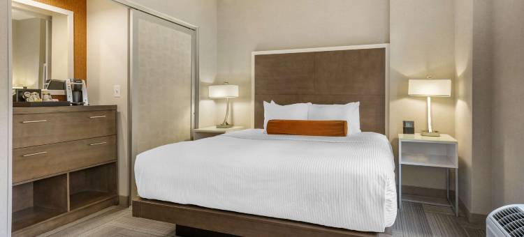 洛克维尔坎布里亚酒店(Cambria Hotel Rockville)图片