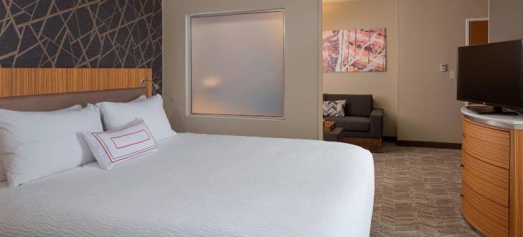 圣路易斯机场/地球城SpringHill套房酒店(SpringHill Suites St. Louis Airport/Earth City)图片