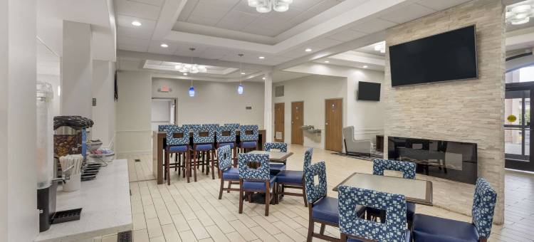 曼德林 - 弗农希尔斯舒适套房酒店(Comfort Inn & Suites Mundelein-Vernon Hills)图片