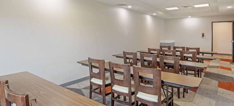 布鲁斯堡舒适套房酒店(Comfort Suites)图片