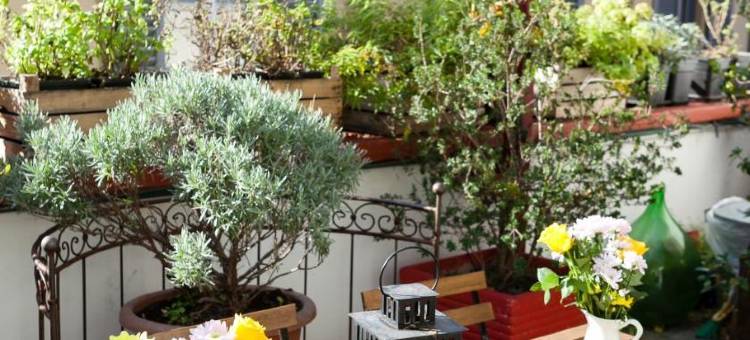 贝洛旅舍 - 米兰大教堂(Ostello Bello - Milano Duomo)图片