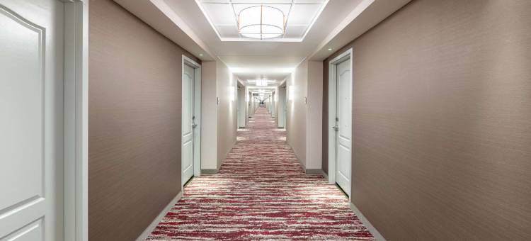 康瑟尔布拉夫斯奥马哈东希尔顿花园酒店(HIlton Garden Inn Omaha East/Council Bluffs)图片