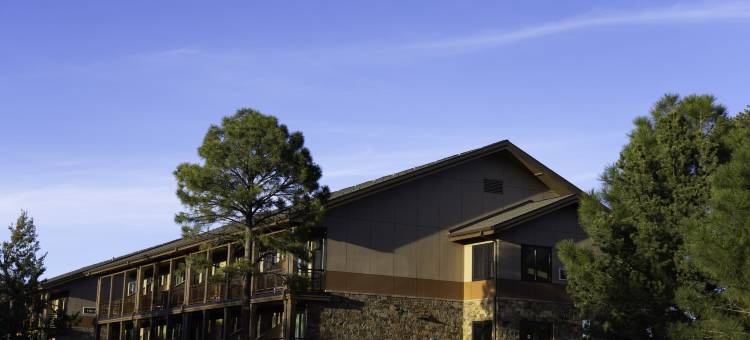 马斯威克北部山林小屋(Maswik Lodge North)图片