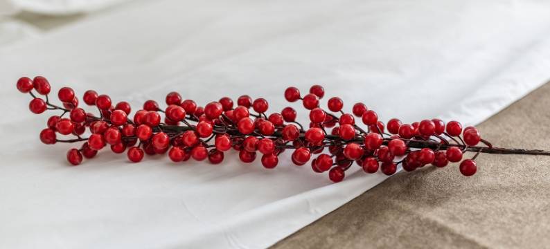 栖牛嘉州长卷民宿(护佛路北段分店)图片