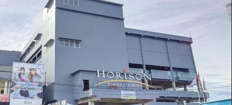 提米卡戴安娜地平线酒店(Horison Diana Timika)图片