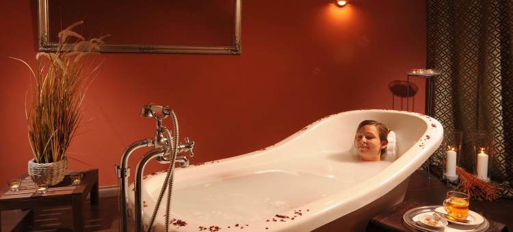 韦尔登根玛丽提姆拜德酒店(Maritim Hotel Bad Wildungen)图片