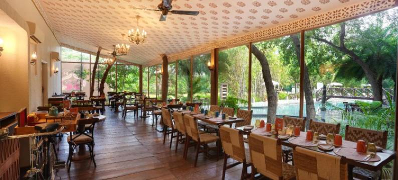 树屋度假村(The Tree House Resort)图片