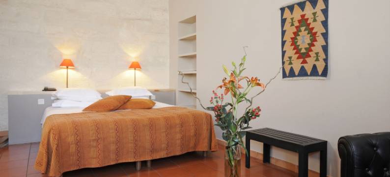 圣路易斯科尔伊特酒店(Hôtel Cloitre Saint Louis Avignon)图片