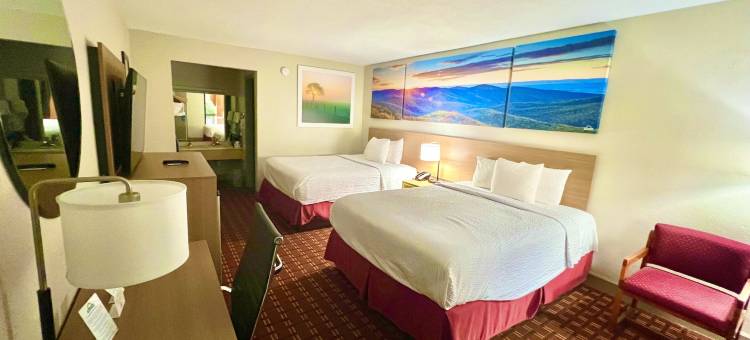 雅典温德姆戴斯酒店(Days Inn by Wyndham Athens)图片