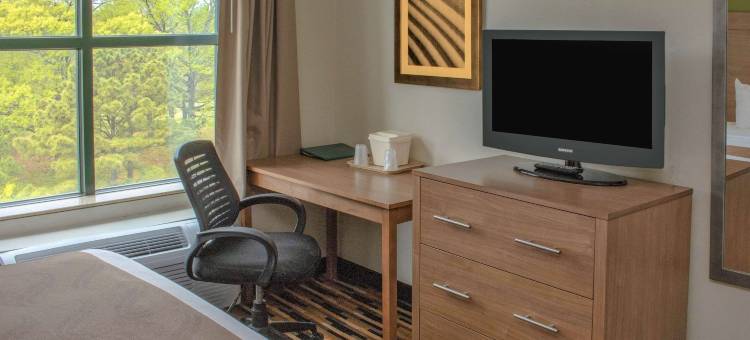 赖特湖诺福克机场品质套房酒店(Quality Suites Lake Wright Norfolk Airport)图片