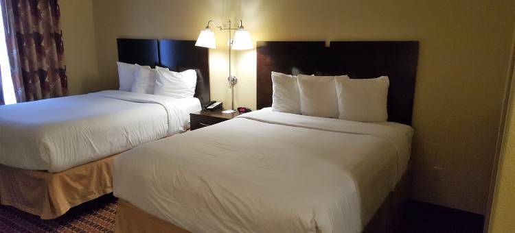 美国罗吉斯- 边顿维尔实惠套房(Affordable Suites of America Rogers - Bentonville)图片