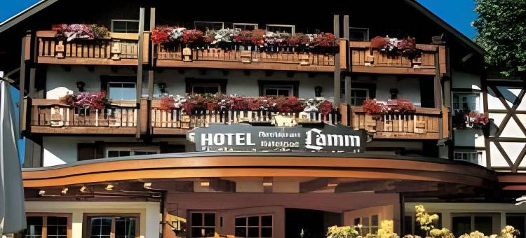拉姆酒店(Hotel Lamm Mitteltal)图片