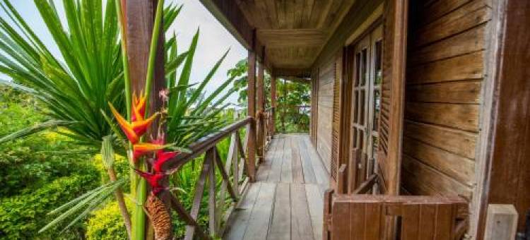 Roça Saudade Guest House图片