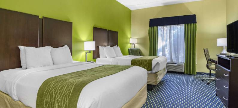 雅典舒适酒店(Comfort Inn Athens I - 75)图片