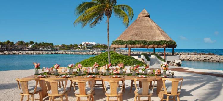 玛雅里维耶拉大道梦想度假村(Dreams Aventuras Riviera Maya)图片