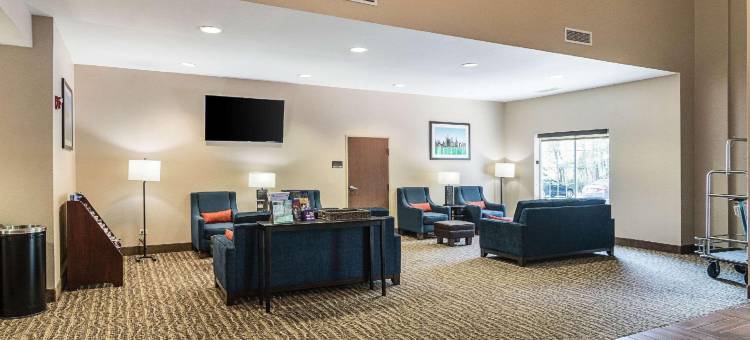 葛雷斯雷克舒适套房酒店-近利伯蒂维尔北(Comfort Suites Grayslake Near Libertyville North)图片