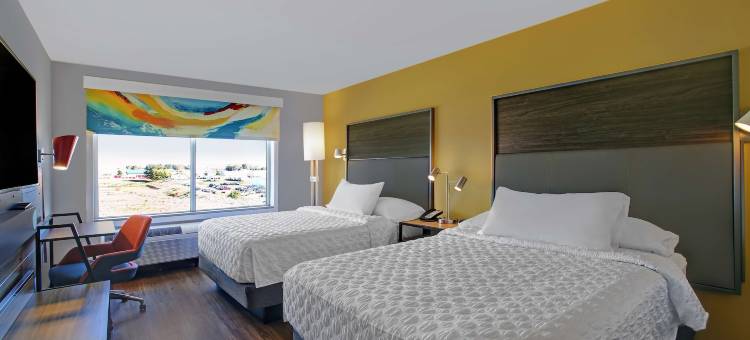 威斯康星斯托顿希尔顿Tru酒店(Tru by Hilton Stoughton)图片