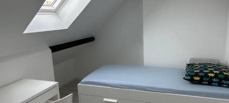 F3 au Grenier d'Une Maison图片