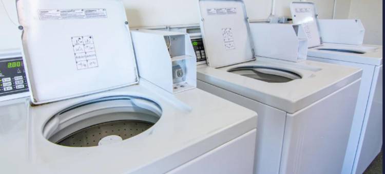 OYO 里兹维尔酒店及套房 Hwy 29(Reidsville Inn & Suites by OYO Hwy 29)图片