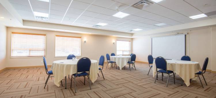 萨斯卡通福朋喜来登酒店(Four Points by Sheraton Saskatoon)图片