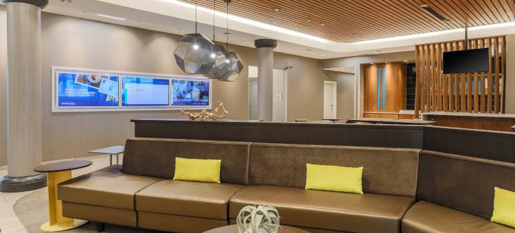 塔拉哈西北部SpringHill Suites酒店(SpringHill Suites Tallahassee North)图片
