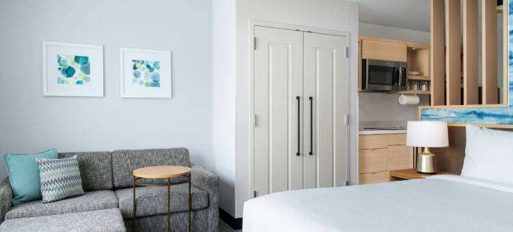 诺福克万豪唐普雷斯套房酒店(TownePlace Suites Norfolk)图片