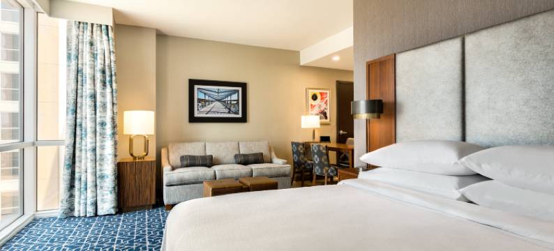 登顿会议中心希尔顿安泊套房酒店(Embassy Suites Denton Convention Center)图片