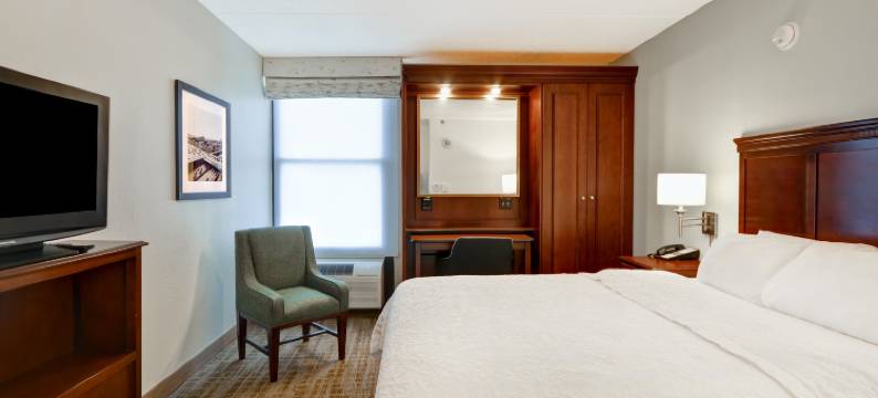 底特律-麦迪逊高地-南特洛伊欢朋酒店(Hampton Inn Detroit/Madison Heights/South Troy Area)图片