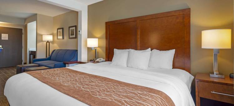 威尔克斯巴里竞技场舒适套房酒店(Comfort Inn & Suites Wilkes Barre - Arena)图片