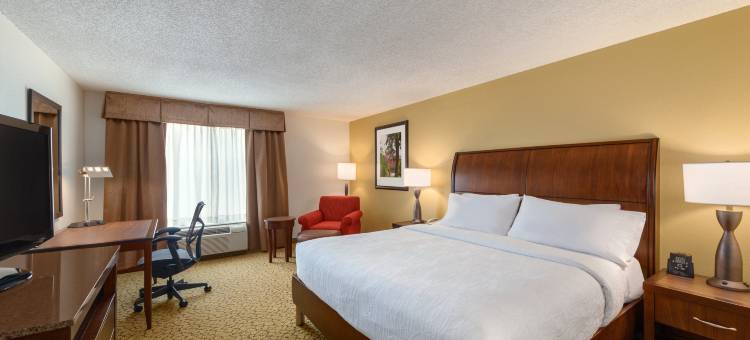 希尔顿花园酒店奥兰多东(Hilton Garden Inn Orlando East/UCF Area)图片