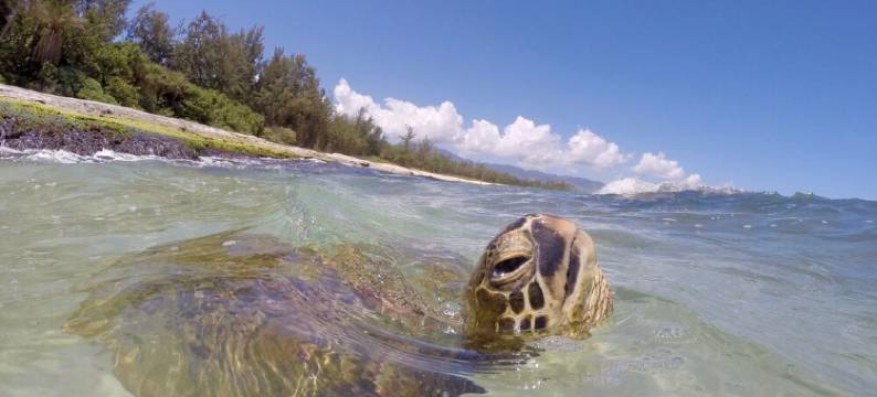 Beachside Getaway-Large Kitchen-A/C-Covered Patio-Grill-Fenced Yard图片