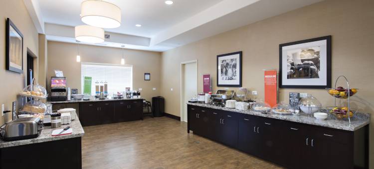 萨斯卡通南希尔顿欢朋酒店(Hampton Inn by Hilton Saskatoon South)图片