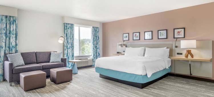 希尔顿花园酒店-亚特兰大东北/格威内特舒格洛夫(Hilton Garden Inn Atlanta NE Gwinnett Sugar Loaf)图片