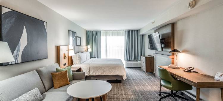 Staybridge Suites 达拉斯市场中心 Love Field by IHG(Staybridge Suites Dallas Market Ctr Love Field)图片