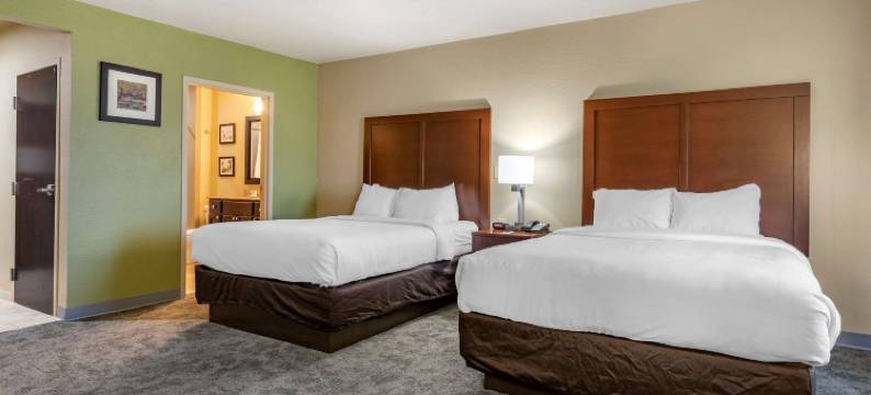 本顿维尔- 水晶桥舒适酒店(Comfort Inn Bentonville - Crystal Bridges)图片