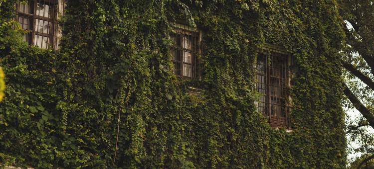 阿卡米尔帕庄园酒店(Hacienda Acamilpa)图片