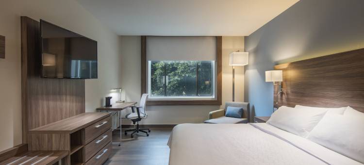 普埃布拉智选假日酒店(Holiday Inn Express Puebla)图片