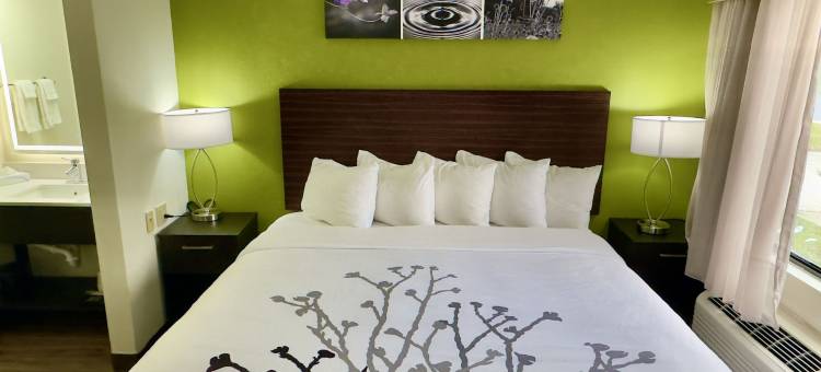 萨凡纳高速公路 I-95 舒眠酒店(Sleep Inn Savannah Gateway I-95)图片