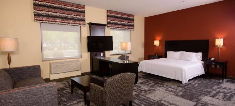 希尔顿欢朋套房酒店-菲尼克斯城钱德勒频谱大道(Hampton Inn & Suites Phoenix Chandler-Fashion Center)图片