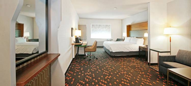 卡尔加里机场北假日酒店及套房(Holiday Inn & Suites CALGARY AIRPORT NORTH by IHG)图片
