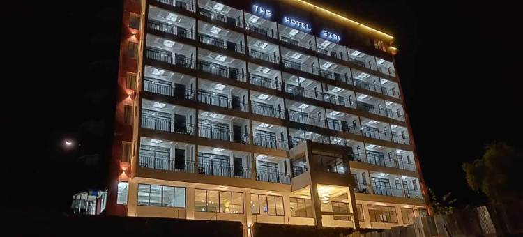 埃兹里酒店(The Hotel Ezri)图片